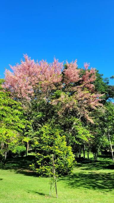 מונטה אלגרה דו סול Recanto Dos Beija Flores, Chale Bougainville מראה חיצוני תמונה