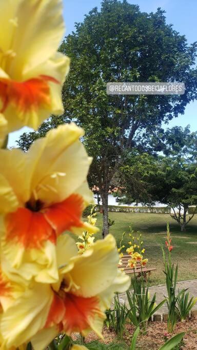 מונטה אלגרה דו סול Recanto Dos Beija Flores, Chale Bougainville מראה חיצוני תמונה